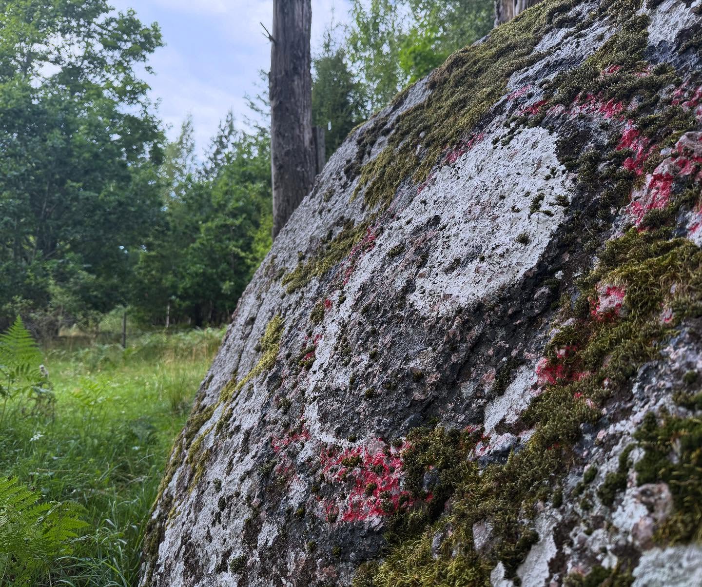 Moss-covered rock representing patient cultivation and the slow transformation of Nei Gong practice