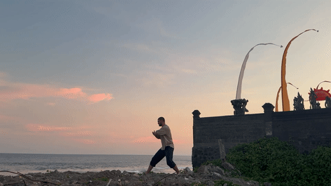 Taijiquan Background